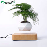 Hot Sale Levitating Air Bonsai Pot