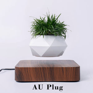 Hot Sale Levitating Air Bonsai Pot